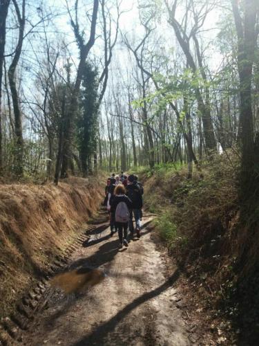 Escursione Sensoriale in Silenzio nel Parco del Ticino - settembre 2017